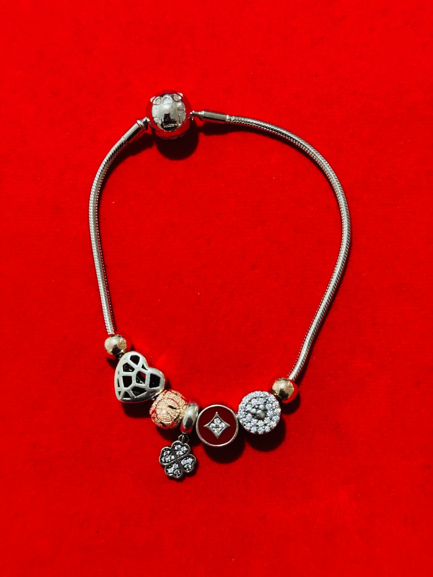 Snake chain Bracelet (F)